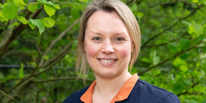 Schakelen, samenwerken en verschil maken