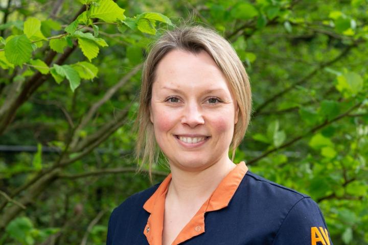 Schakelen, samenwerken en verschil maken