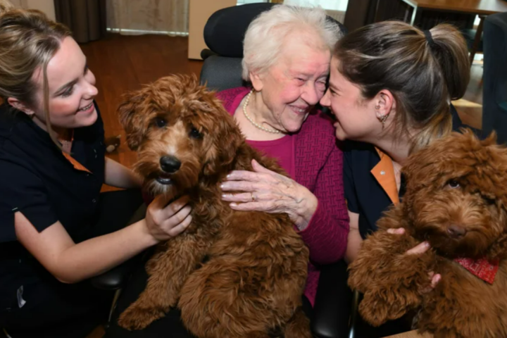 Samen met je hond naar je werk